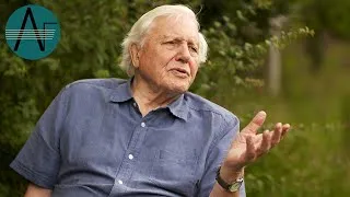 Thumbnail: David Attenborough on Christopher Nupen & Jacqueline Du Pré (Interview) | Listening Through the Lens