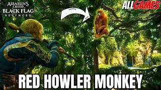 Thumbnail: How to Get Red Howler Monkey Skin | Dart Pouch 2 - AC Black Flag Resynced
