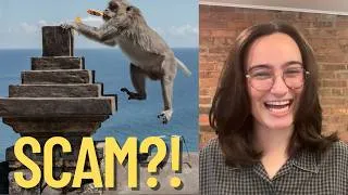 Thumbnail: Monkeys Scam Tourists + Gaza Nears Mass Starvation. (Serotonin Sandwich)