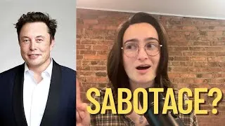 Thumbnail: Elon's Tweeting Storm! (Serotonin Sandwich)
