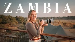 Thumbnail: My Trip to Zambia | Victoria Falls & Safari