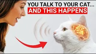 Thumbnail: You Talk to Your Cat Every Day… Here’s What REALLY Happens