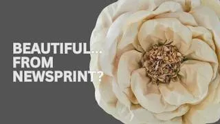 Thumbnail: What I Learned from Making Newsprint Paper Flowers