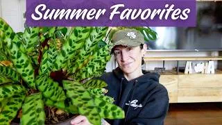 Thumbnail: Summer Favorites: The Houseplants I've Been OBSESSED With This Summer 😍🌿