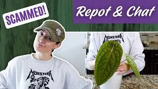 Thumbnail: The Scam Story You’ve Been Waiting For… 😬🌿 | Repot & Chat