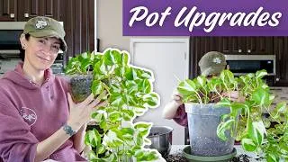 Thumbnail: Giving Plants a Pot Upgrade 🌿 Repot & Chat: Plants, Cats & Life Updates