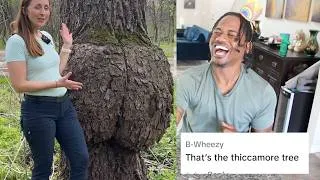 Thumbnail: Reading The Top FUNNIEST Tik Tok COMMENTS | Alonzo Lerone