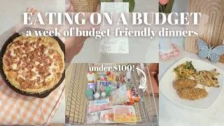Thumbnail: EATING ON A BUDGET // budget-friendly dinners, Aldi grocery haul, cook with me