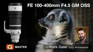 Thumbnail: Sony FE 100-400 F4.5 GM OSS Lens Review