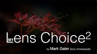 Thumbnail: Sony Alpha Lens Choice 2023