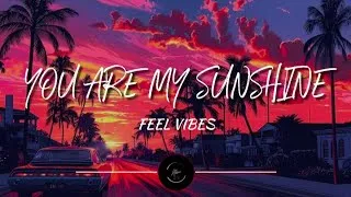 Thumbnail: YOU ARE MY SUNSHINE - Feel Vibes (Lyrics)