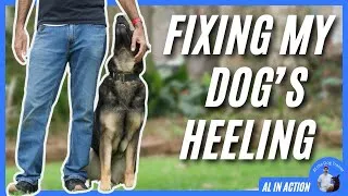 Thumbnail: Fixing My Dog’s Heeling! Stop Common Mistakes | Al in Action