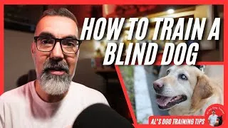 Thumbnail: How to Train a Blind Dog! 4 Tips you Need to Know | Al’s Dog Training Tips