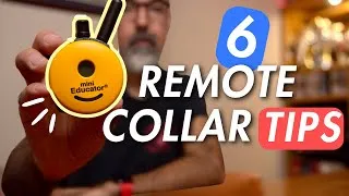 Thumbnail: 6 Remote Collar Tips you NEED to Know!