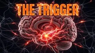 Thumbnail: The Physics of Fear: How the Amygdala Fights Cosmic Entropy