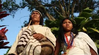 Thumbnail: Trees - Kogi COP26 Ecological Disaster Warning - Aluna The Movie