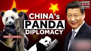 Thumbnail: All About China's Panda Diplomacy