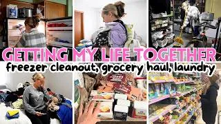 Thumbnail: Real Life Reset Day | Freezer Cleanout, Groceries & Getting My Life Together