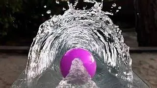 Thumbnail: Water Marble Run ASMR Compilation Unbelievable Roller Coaster | Splashes & Dog Reaction!