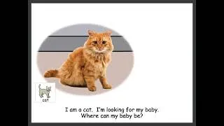 Thumbnail: Where Can My Baby Be?