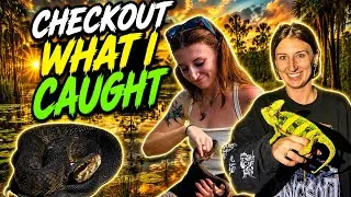 Thumbnail: Herping & catching animals in South Florida! Our catches gradually get cooler and cooler… 