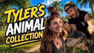 Thumbnail: I Toured Tyler Nolan’s Animal Sanctuary… It’s CRAZY