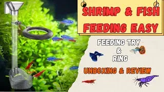 Thumbnail: Feeding Ring & Tray Tube For Aquarium Fish & Shrimp | Hindi | AM Aquarist