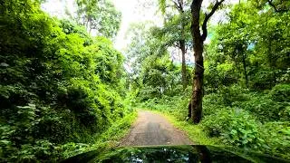 Thumbnail: Mahindra Thar ROXX Bonnet POV | Kodayar Forest Drive 4K
