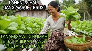 Thumbnail: Sawi Hidroponik di Rumah: Panen 25 Hari, Uang Masuk Terus