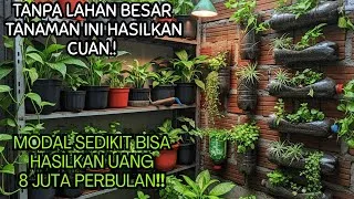 Thumbnail: STRATEGI BISNIS TANAMAN RUMAHAN TANPA PERLU LAHAN BESAR