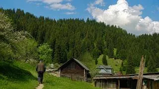 Thumbnail: Grandpa Vasyl’s Summer Day in Mountain Village. Fresh Honey, Homemade Lunch and Woodworking
