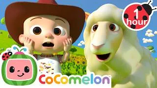 Thumbnail: Ba Ba Black Sheep Song 🐑 CoComelon | Amazing Animal Adventures 🐾