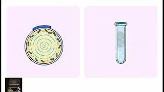 Thumbnail: USP 81 | ANTIBIOTICS—MICROBIAL ASSAYS | DRAP TEST PREPARATION | URDU
