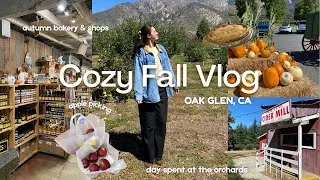 Thumbnail: Cozy Fall Day Vlog 🍎🧺 (apple picking, autumn foods, & seasonal adventures)