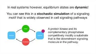 Thumbnail: The Dynamics of the Steady State