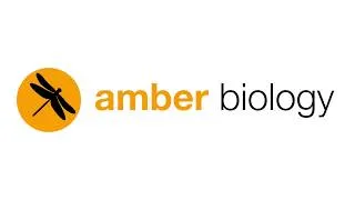 Thumbnail: Amber Biology Introduction