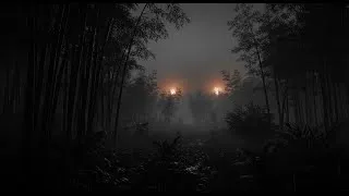 Thumbnail: VIETNAM WAR AMBIENCE (1 Hour) | Distant Artillery + Jungle Night | ASMR Sleep