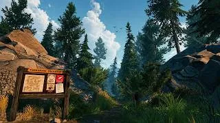 Thumbnail: Firewatch - Peaceful Forest Trail Ambience 🌲 Birds & Gentle Breeze (3 Hours)