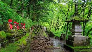 Thumbnail: Walking in the Rain through Nikko Forest and Shrine | Tochigi, Japan