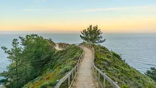 Thumbnail: Early Morning Walk on California Coast | Muir Beach to Slide Ranch