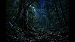 Thumbnail: 🌌 Healing Ambient Music | Moonlit Appalachian Forest Fireflies at Night