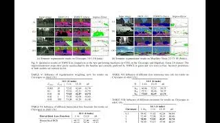 Thumbnail: Taxonomy-Aware Continual Semantic Segmentation in Hyperbolic Spaces for Open-World Perce