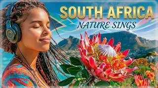 Thumbnail: SOUTH AFRICA 🌍 Zulu Melodies & African Voices for Deep Calm