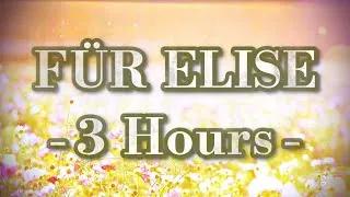 Thumbnail: 🎹  FÜR ELISE - The Most Relaxing Version (3 Hours)