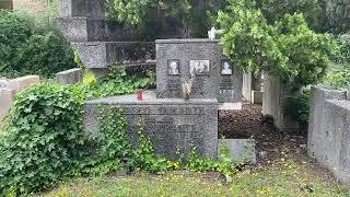 Thumbnail: Tomba di famiglia Durante: Checco (1893-1976) Anita (1897-1994) Leila (1925-2014) Luciana. Attori