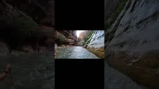 Thumbnail: The Narrows at Zion National Park
