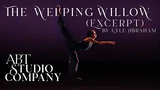 Thumbnail: ABT Studio Company | THE WEEPING WILLOW (excerpt)
