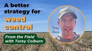 Thumbnail: Practice Over Product: A Better Strategy for Weed Control