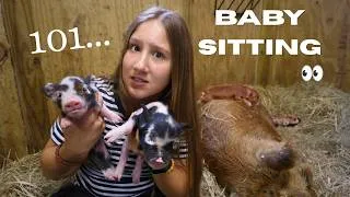 Thumbnail: We are Back! Sleeping In The Barn With Newborn Piglets, During Summertime...
