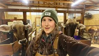 Thumbnail: Winter Milking with a 17-Year-Old Farmer ~ Valentines Day Edition 💕❄️